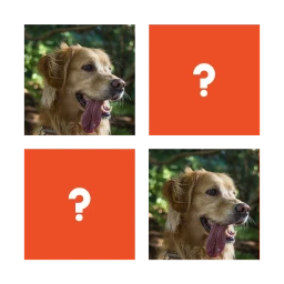 Matching Game icon